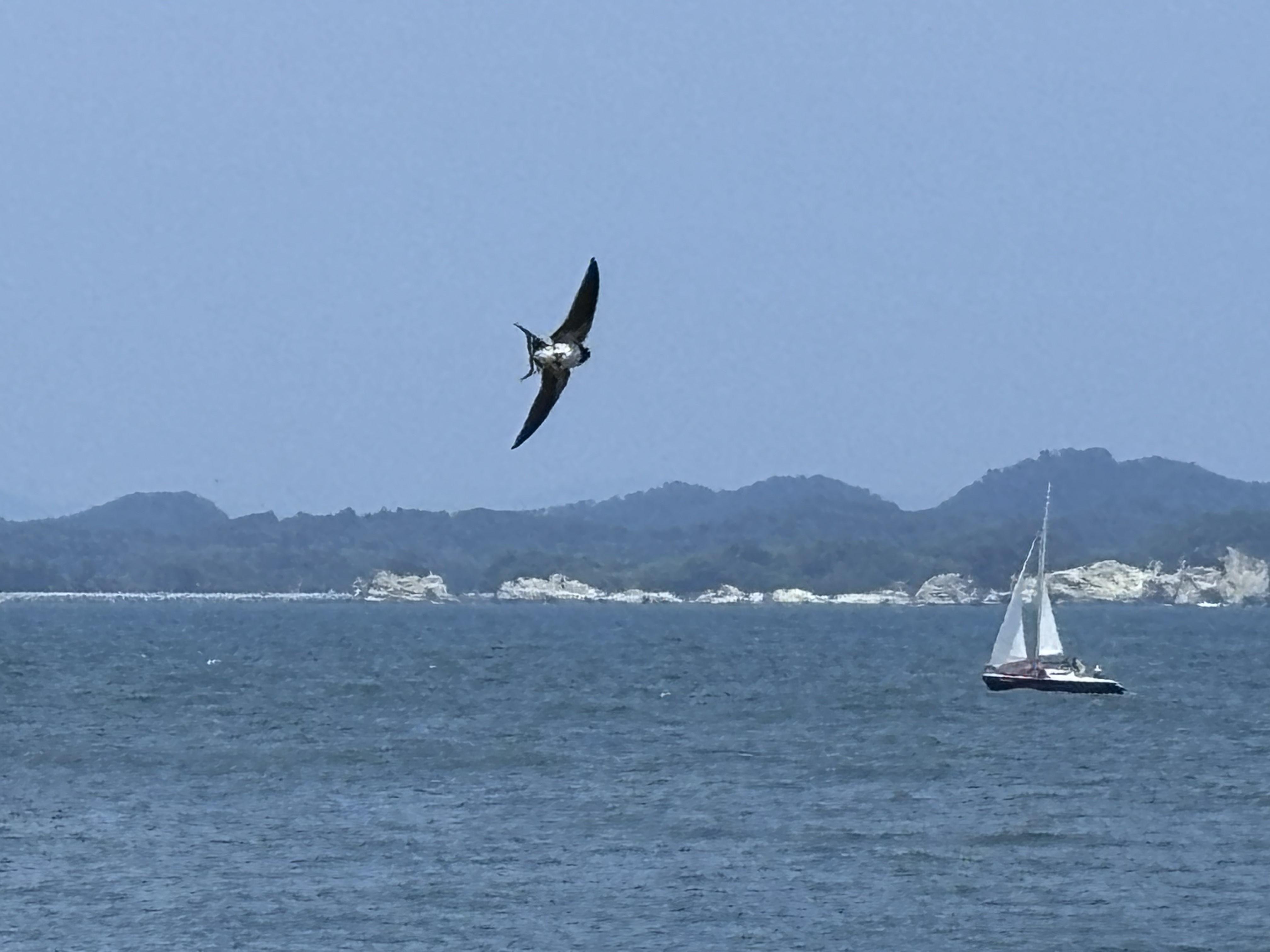 Matsushima Bay, Miyagi